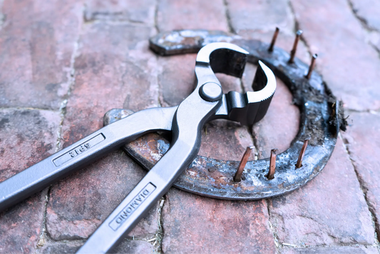 The Essential Guide to Farrier Tools: What Every Professional Needs
