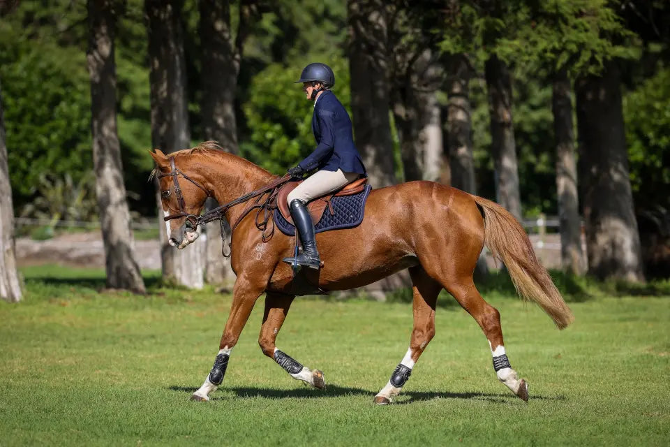 Sport & Hack Horse Supplies Collection | Maneline Cambridge NZ