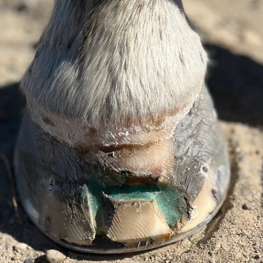 Bluestone Bang Therapeutic Hoof Wax