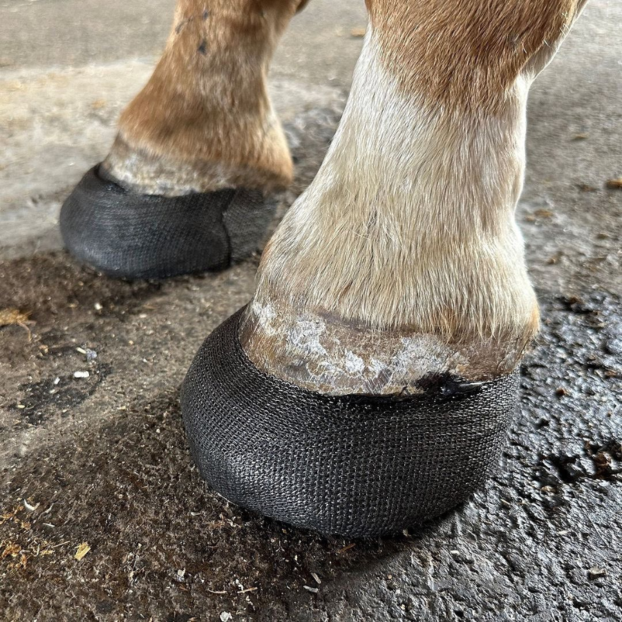 Equicast- Hoof Casting Tape/ Fiberglass Bandage | Maneline Cambridge NZ
