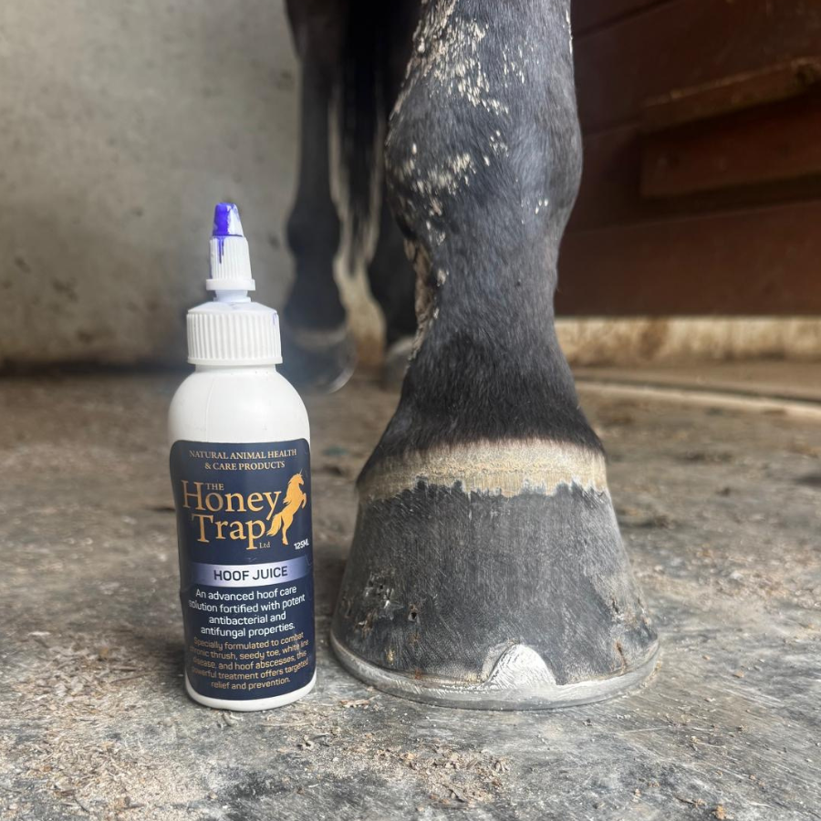 Honey Trap Hoof Juice. Thrush Treatment Maneline Cambridge Farrier Supplies NZ.