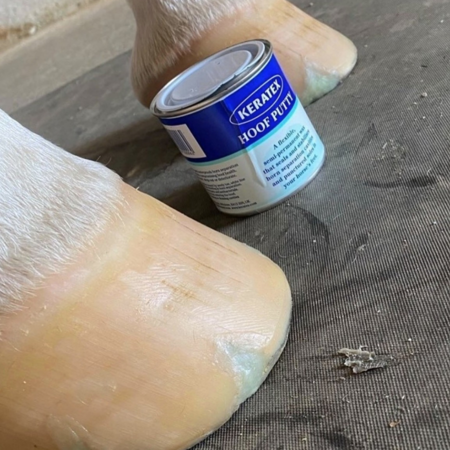 Keratex Hoof Putty | Maneline Cambridge NZ