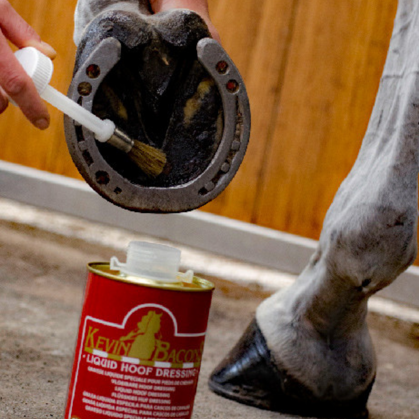 Kevin Bacon's Liquid Hoof Dressing