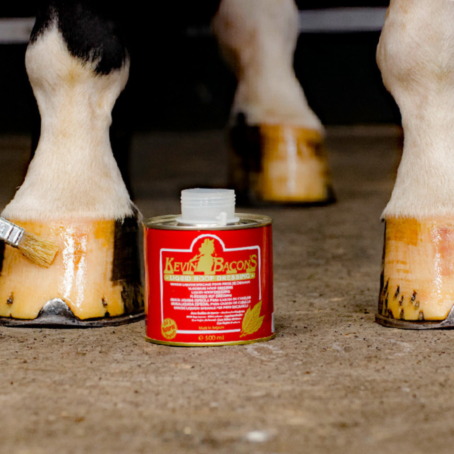 Kevin Bacon's Liquid Hoof Dressing
