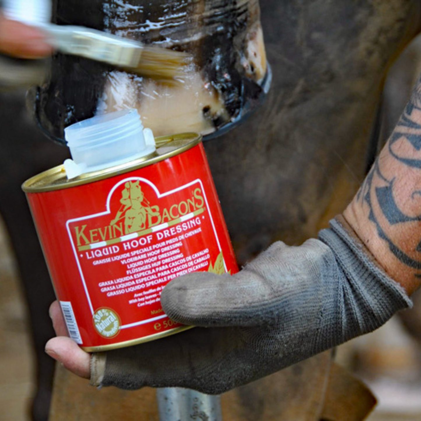 Kevin Bacon's Liquid Hoof Dressing