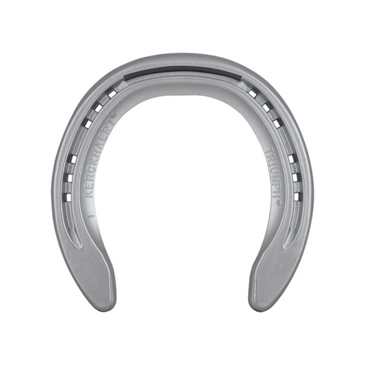 Triumph Front Degree Aluminum | Maneline Cambridge NZ