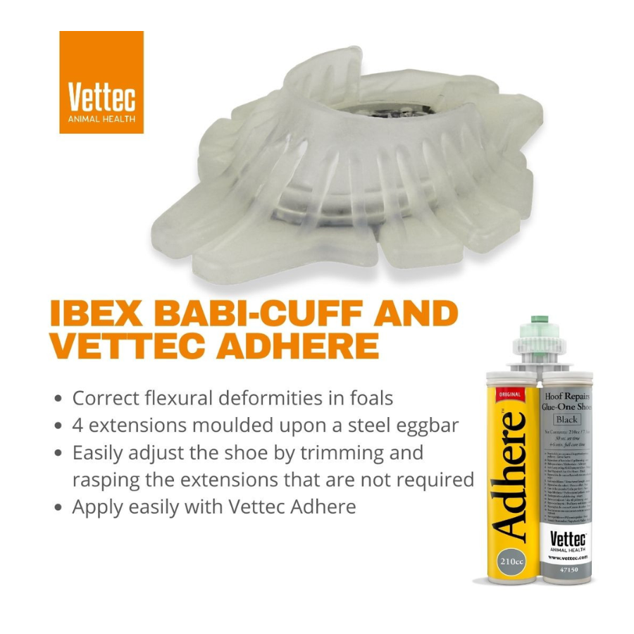 Ibex Foal Shoe - Babi Cuff | Maneline Cambridge NZ | Remedial Shoeing