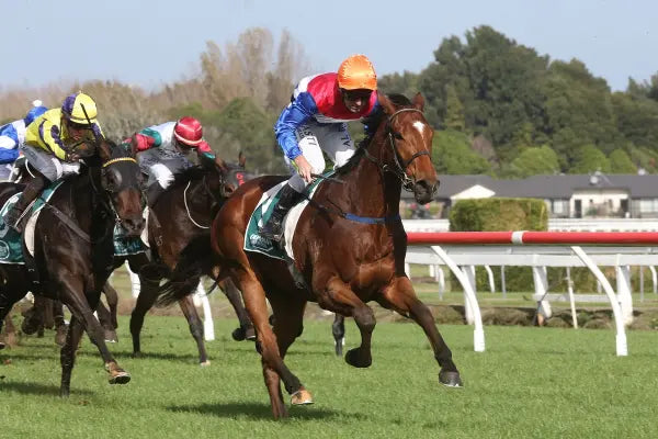 The Benefits of Kerckhaert Extra Sound Aluminium Horseshoes for Racehorses