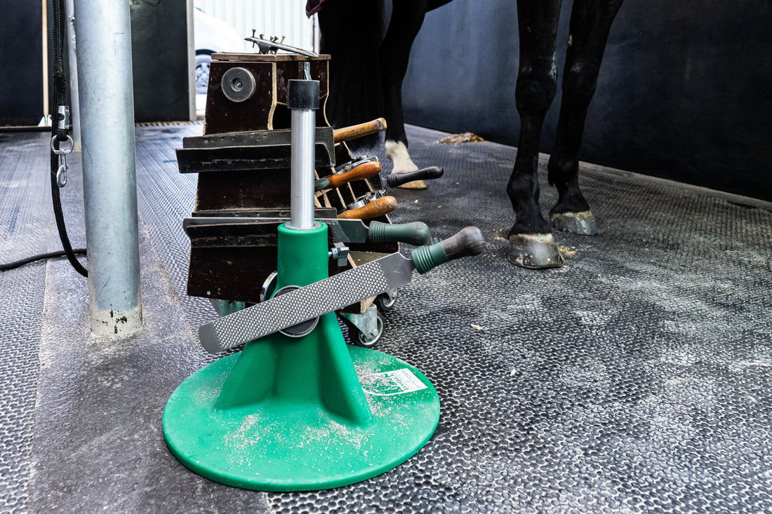 Maneline Cambridge NZ Farrier Hoofjack Stand