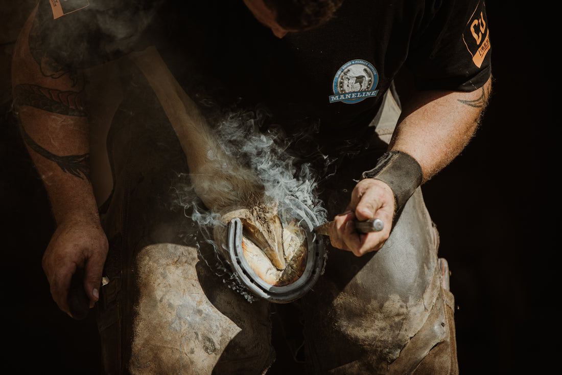 The Essential Role of a Farrier: A Detailed Insight