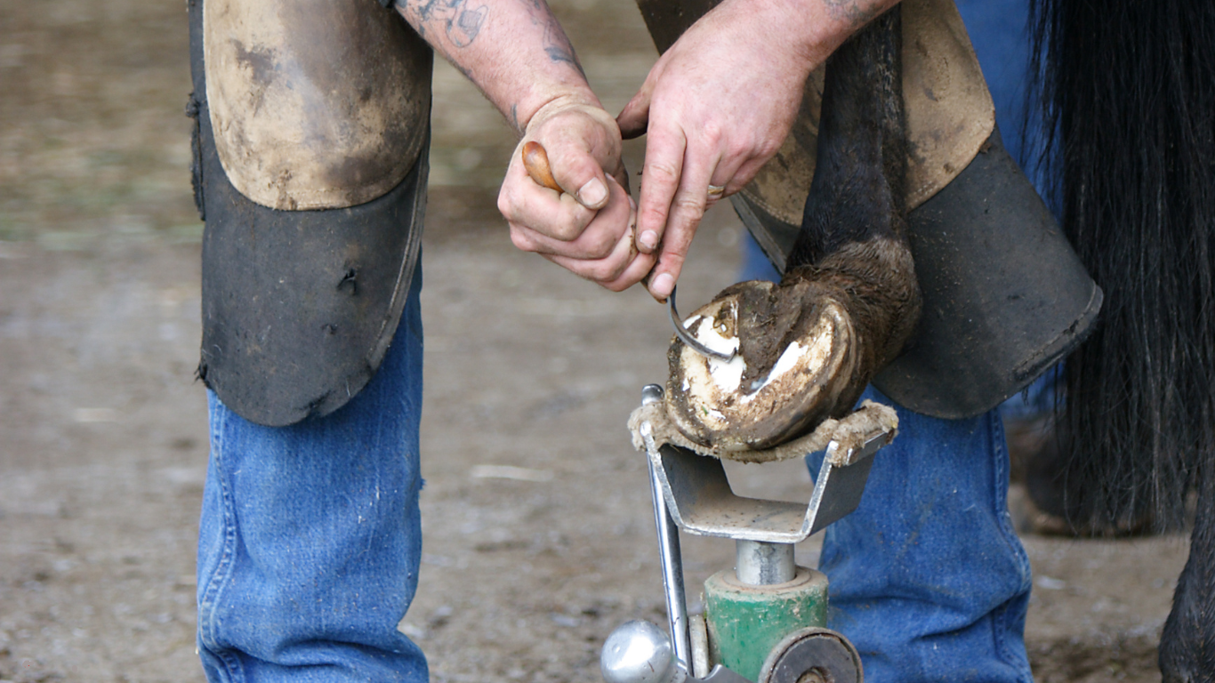 Farrier Aprons