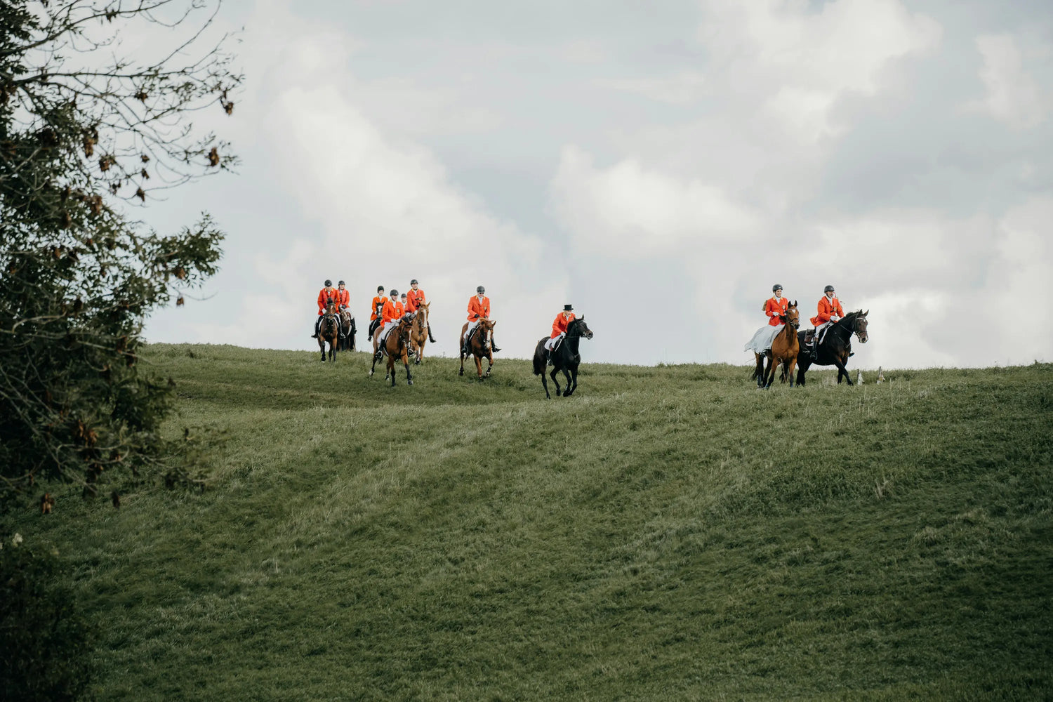 Hunting Horse Collection | Maneline Cambridge