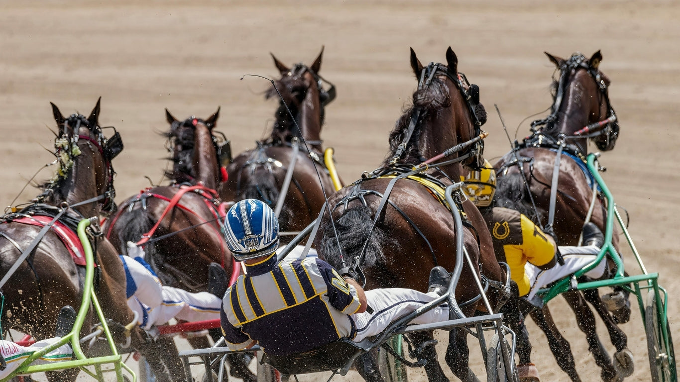Trotting & Pacing