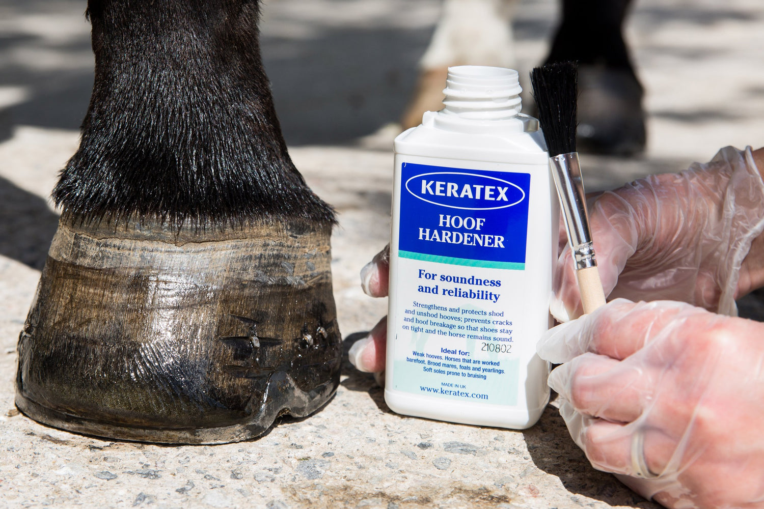 Hoofcare products maneline cambridge farrier supplies shop nz