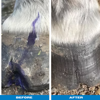 Farriers Choice Hoof and Gut Supplement. Pelleted hoof gut and coat conditioner. Biotin. Hoof Growth. Maneline Cambridge Farrier Supplies NZ 