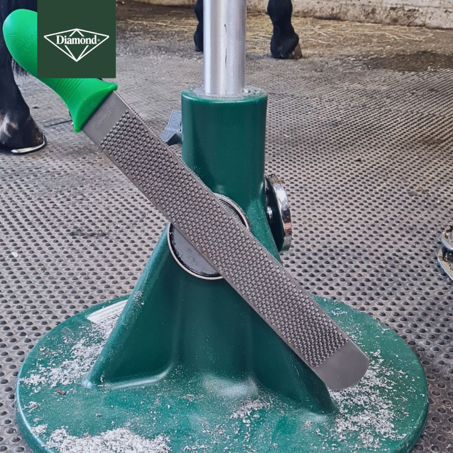 Diamond Max Glide Rasp 14" | Maneline Cambridge NZ | Hoof Rasp