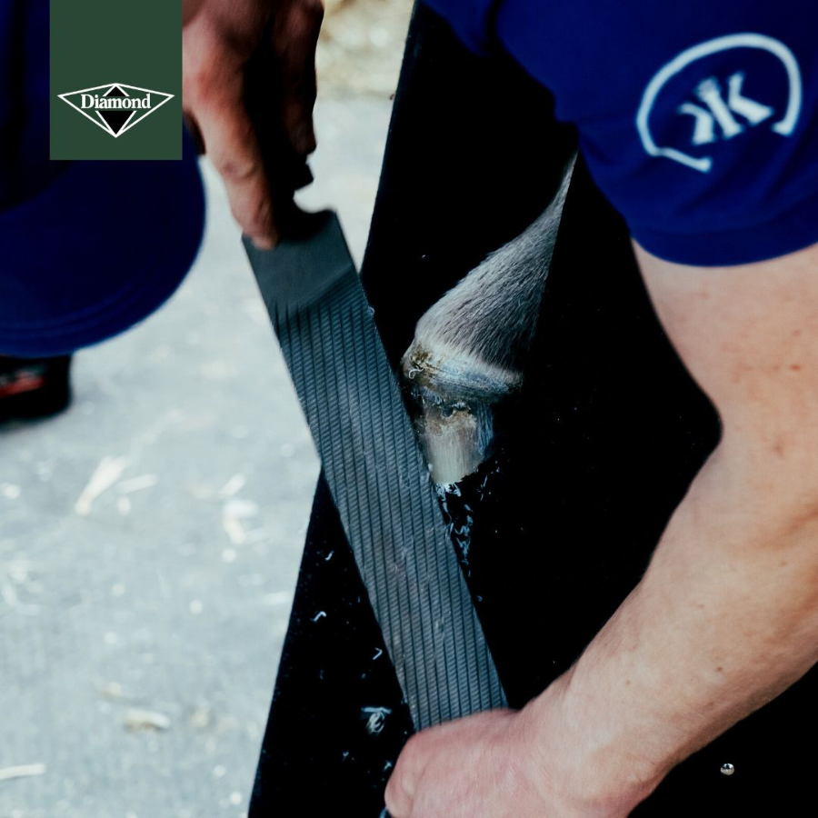 Diamond Max Glide Rasp 14" | Maneline Cambridge NZ | Hoof Rasp