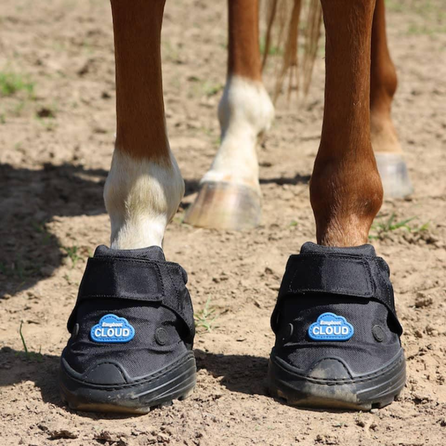 maneline cambrige faFarrier supplies. Laminitis hoof boots. softride boot. Easy Care Cloud gel boots. NZ