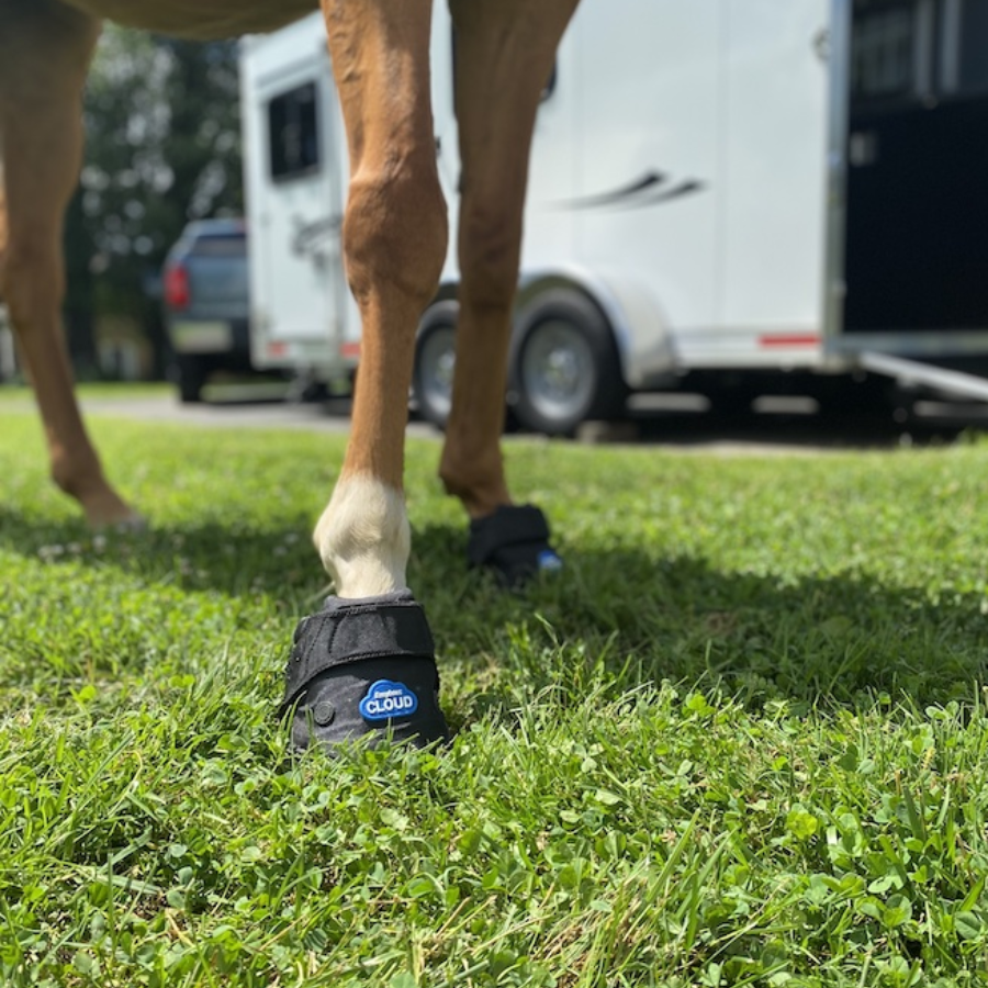 Easycare Cloud Hoof Boot. Softride Hoof Boots. gel pad cushioned Hoof boot. Laminitis treatment. 