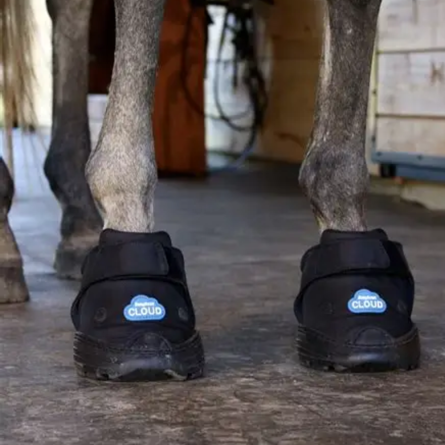 maneline cambrige faFarrier supplies. Laminitis hoof boots. softride boot. Easy Care Cloud gel boots. NZ