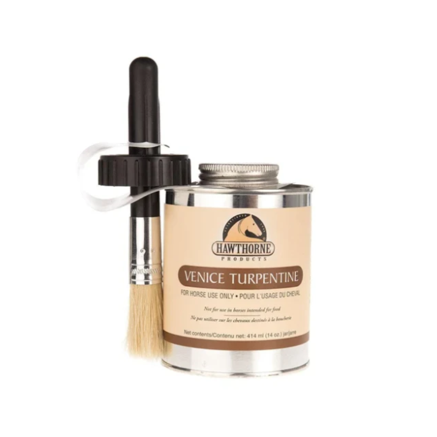 Aazon.co : Bickore Venice Of Turpentine, 16 Oz