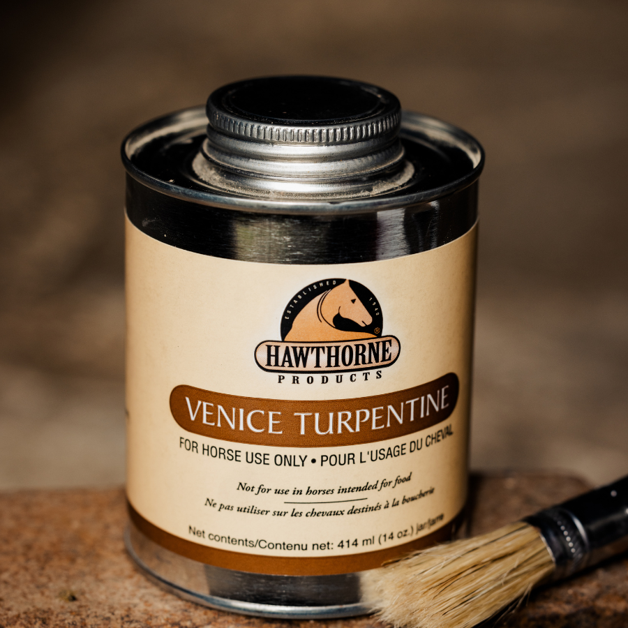 Hawthorne Venice Turpentine