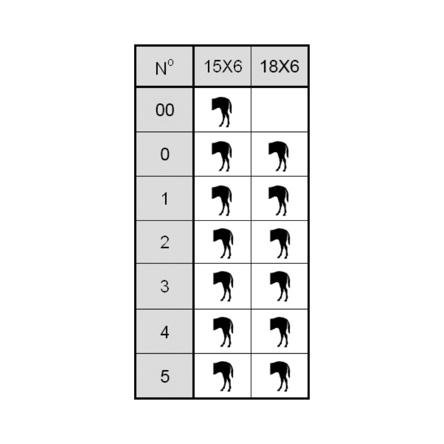Legend Rim Heavy | Maneline Cambridge NZ | Trotting Horseshoes