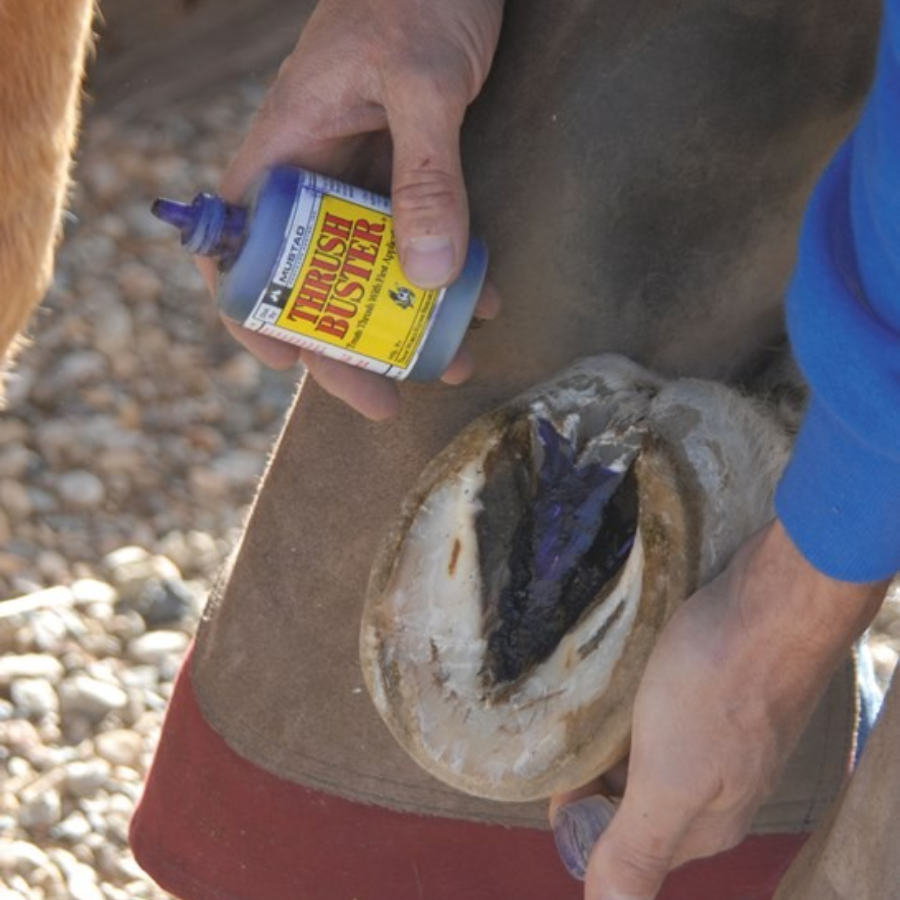 Mustad Hoof Gel. Mustad Thrush Buster. Thrush Treatment. Maneline Cambridge Farrier Supplies NZ.
