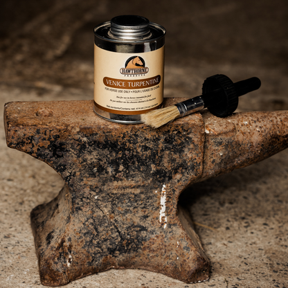 Hawthorne Venice Turpentine