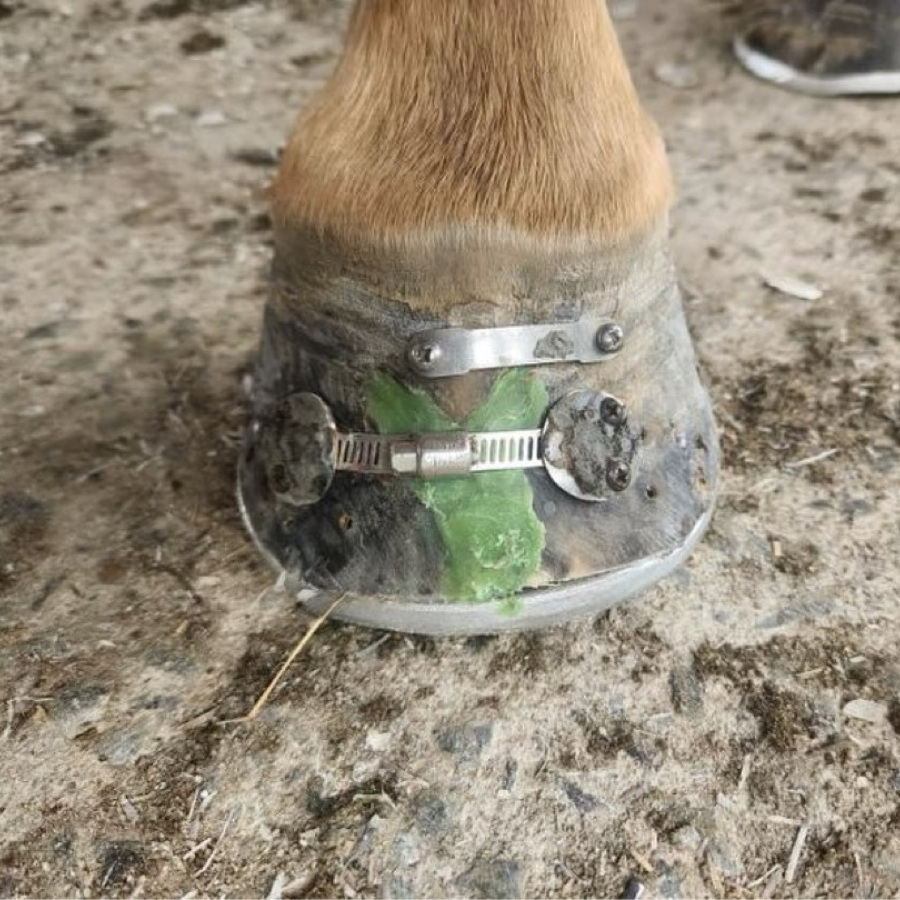 Crack Repair Kit